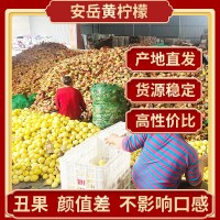 丑果 四川安岳檸檬鮮果批發(fā) 當季新鮮水果產地發(fā)尤力克黃檸檬代發(fā)